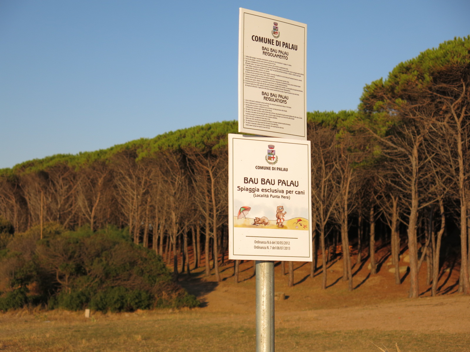 La (pulitissima) spiaggia per cani di Palau